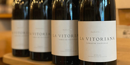 Raul Perez La Vizcaina La Vitoriana 2019