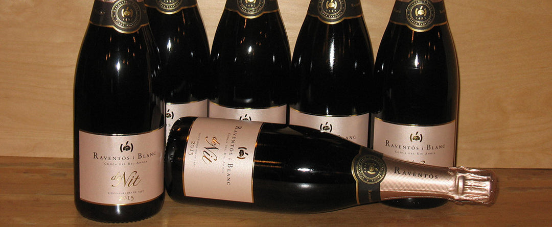Raventos I Blanc De Nit - Table Wine - Asheville