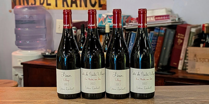 Antoine Lienhardt Red Burgundies