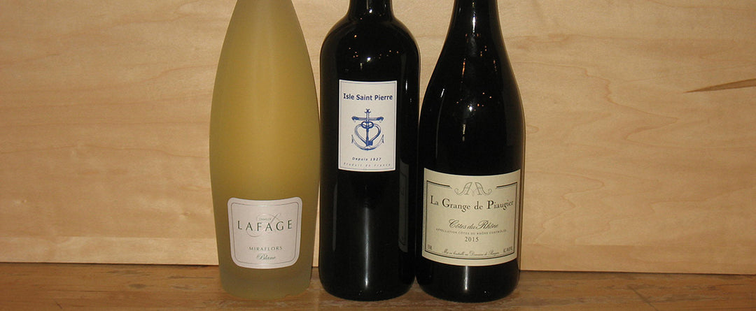 Southern French free wine tasting at Table Wine in Asheville, North Carolina.