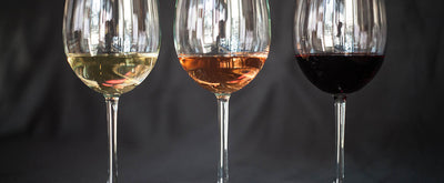 Seated Wine Tasting - Spring and Summer Wines