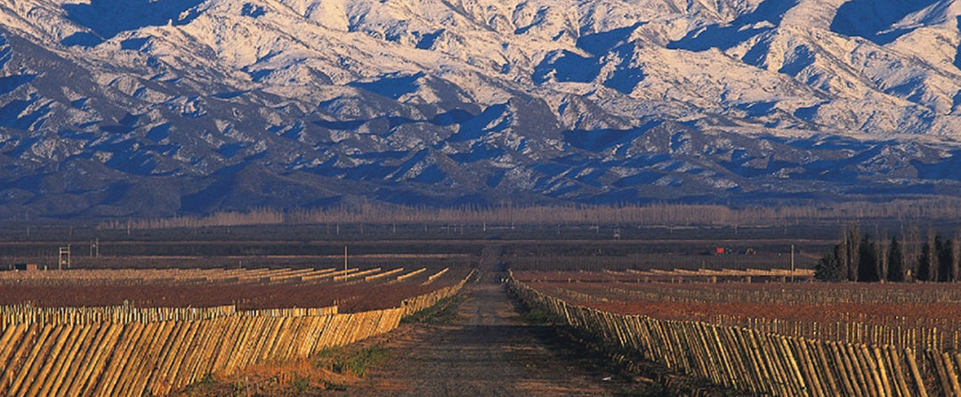 Susana Balbo Wine Tasting