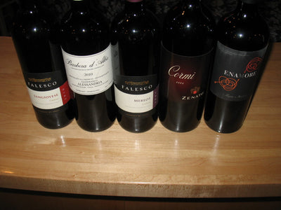 545 Wine Tasting - Big Italian Reds