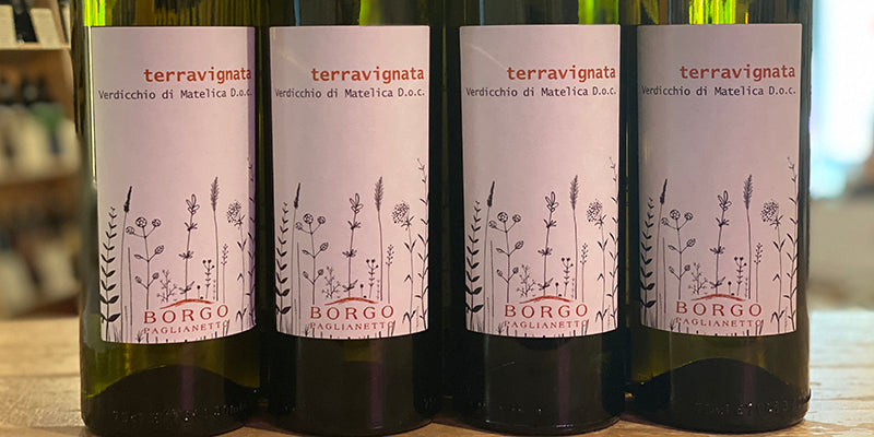 Terravignata Verdicchio di Matelica 2018