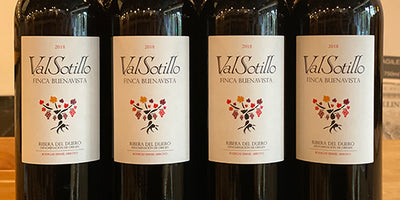 Crazy Ribera del Duero Value: 2018 Valsotillo Finca Buenavista