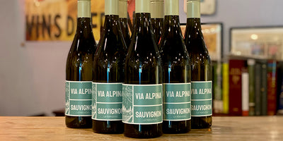 Let's talk about Friulian Sauvignon Blanc: Via Alpina Sauvignon Blanc