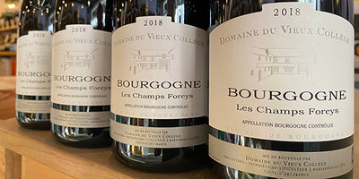 Red Burgundy Extreme Value: 2019 Vieux College Bourgogne Rouge 'Les Champs Foreys'