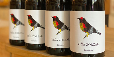 Mind Blowing Spanish Garnacha: 2020 Vina Zorzal Garnacha