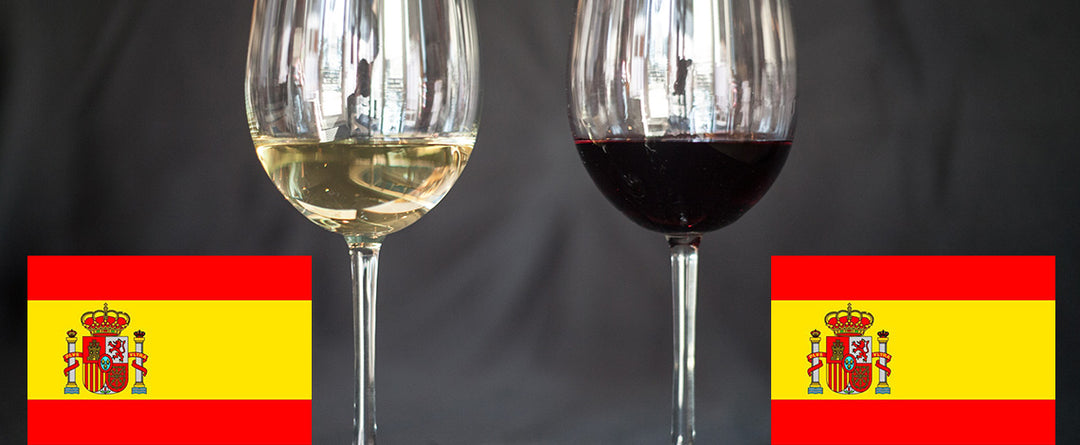 Spanish Wine Tasting at Table Wine in Asheville, North Carolina.